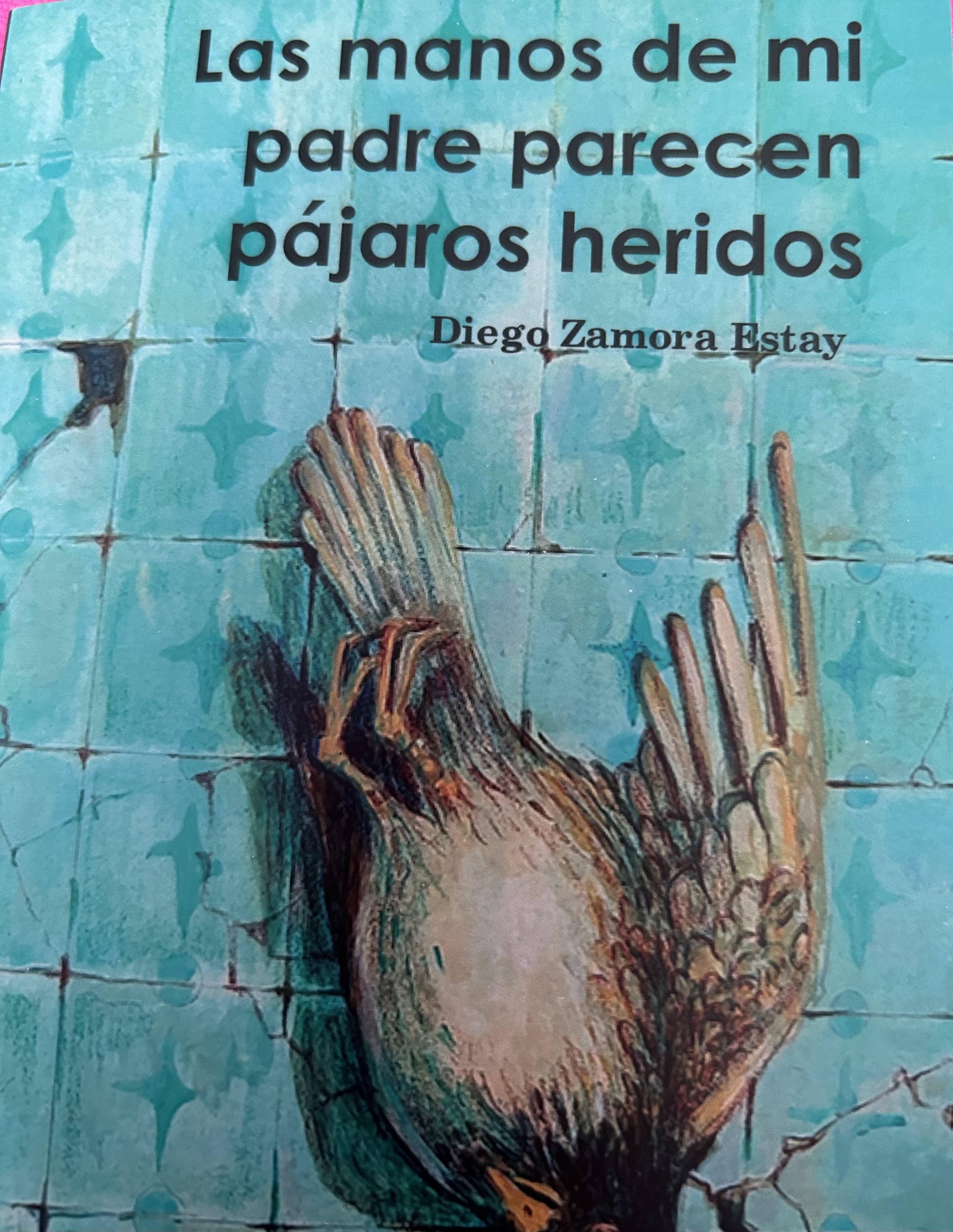 Las manos de mi padre parecen pájaros heridos